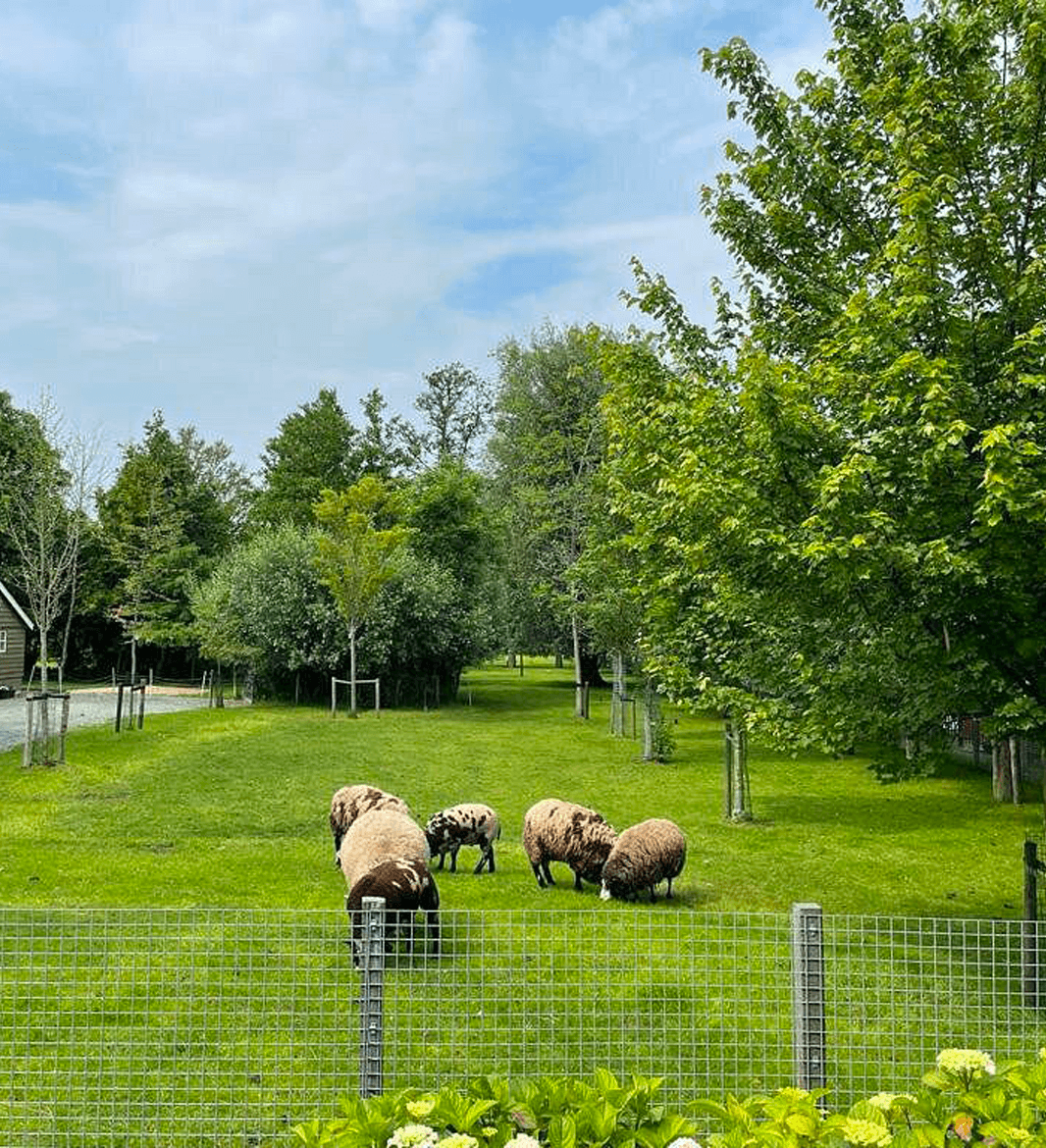 Van Leed naar Liefde Retreat Den Ilp