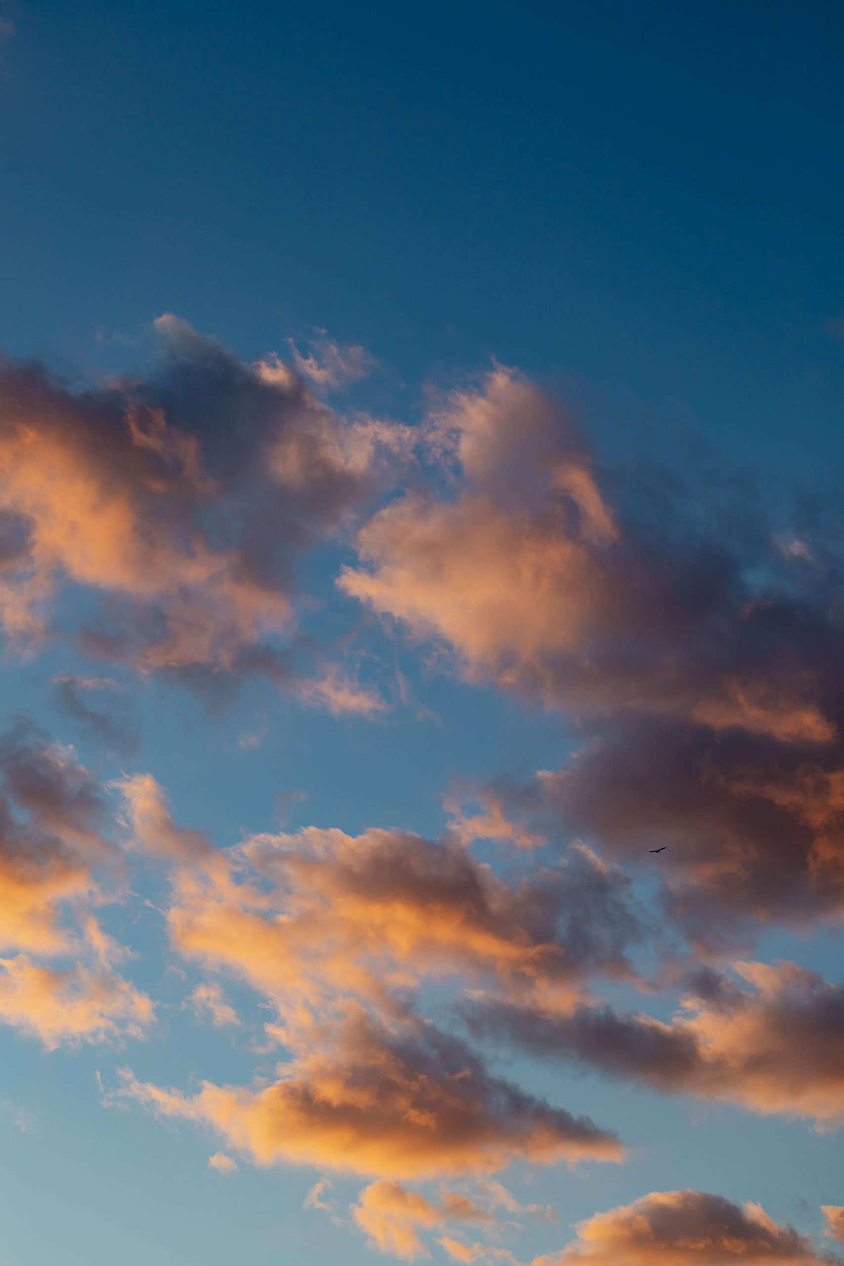 CE - Membership Van Overleven Naar Leven Quote 3